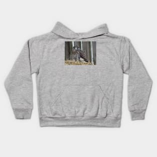 Fledgling Kestrel Kids Hoodie